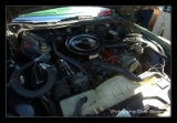 Buick Le sabre 1974 .DNG